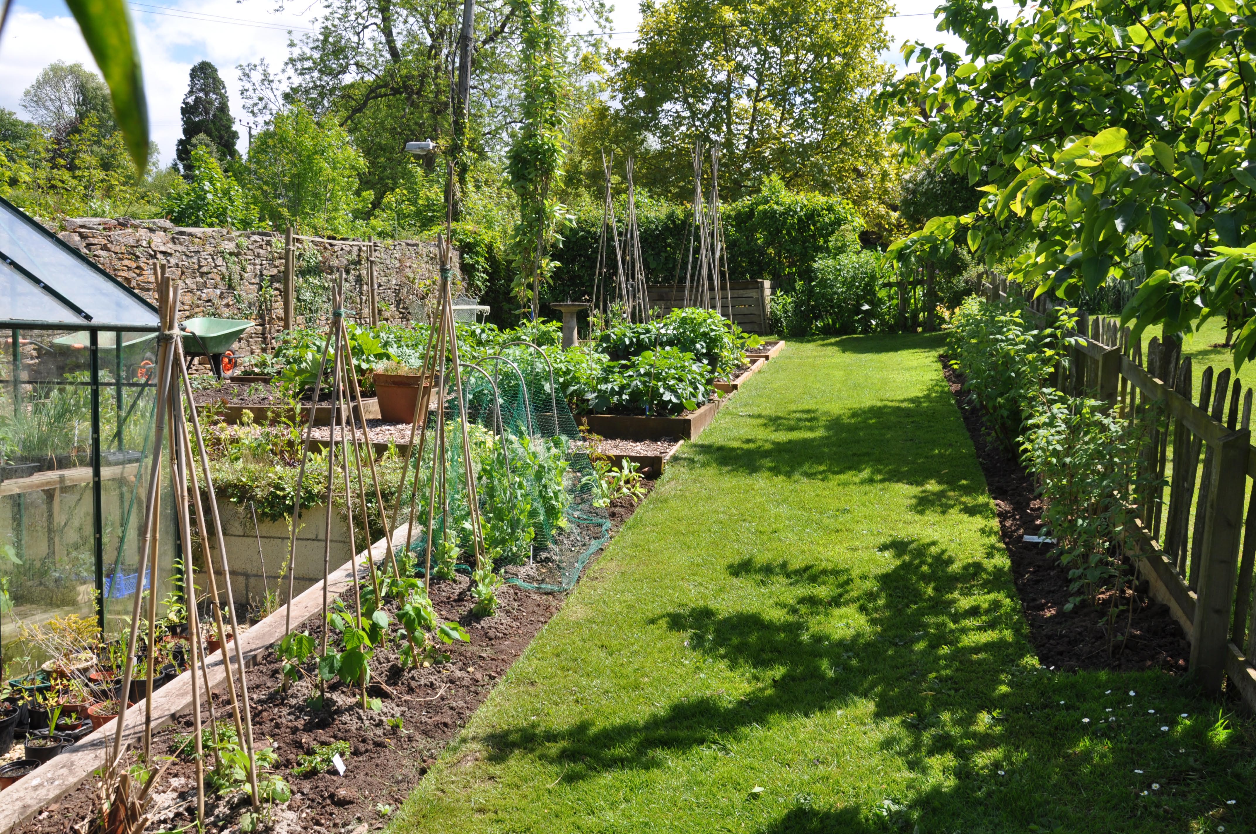 Vegetable garden